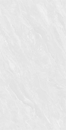 YT6219-1_03